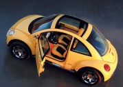 VW New Beetle